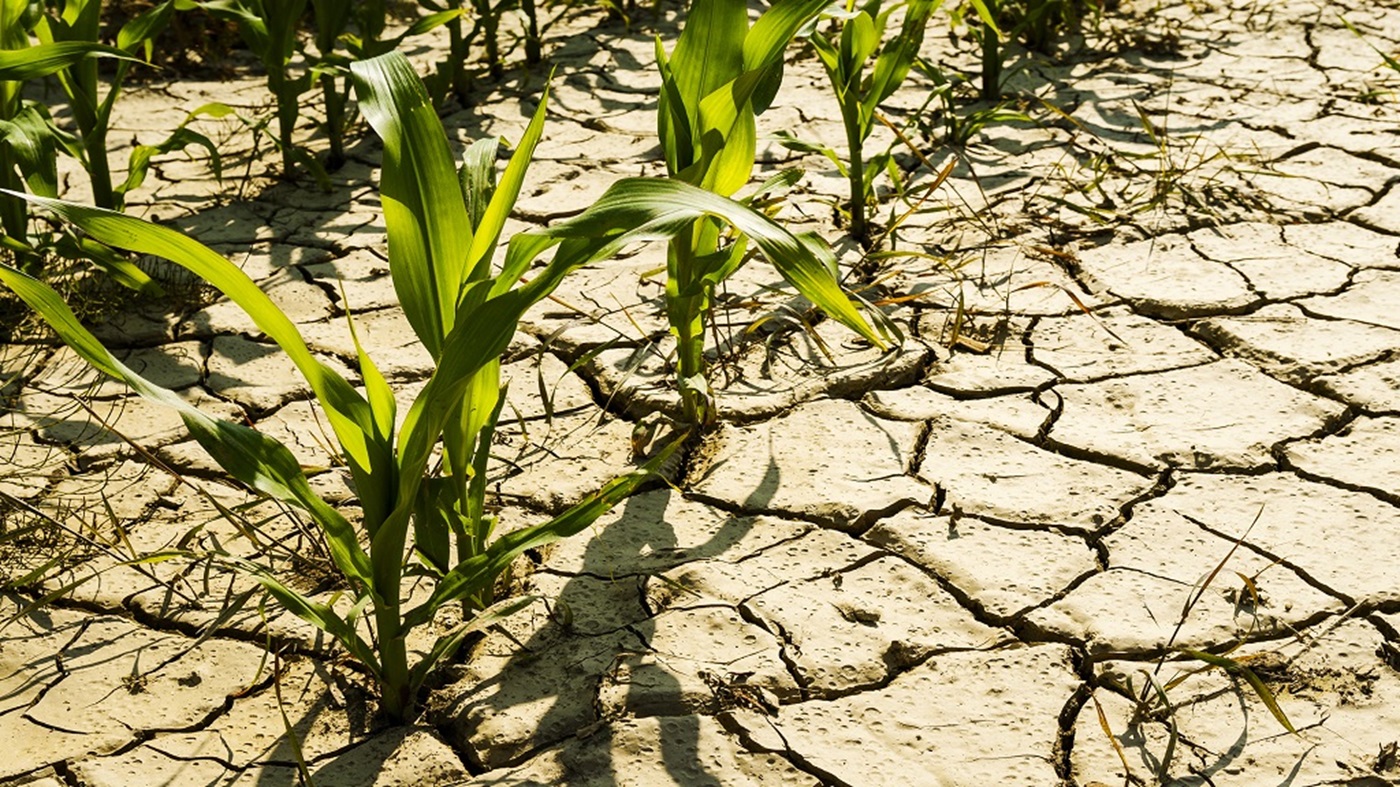 climate-outlook-drought